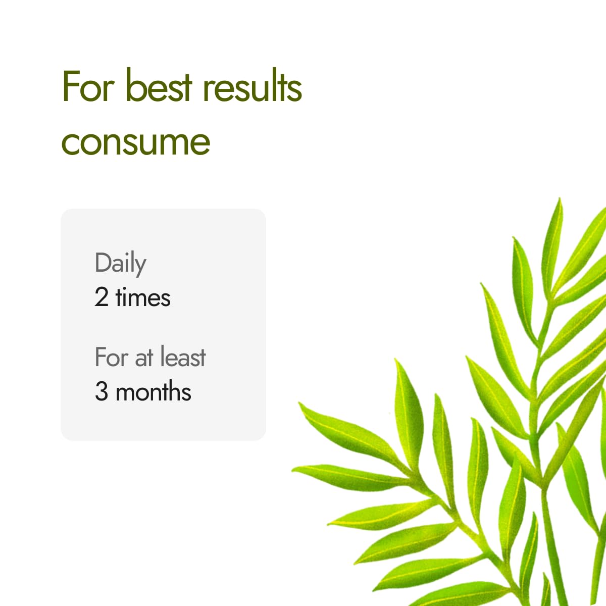 Kapiva Cholest Fit Juice | Modern Ayurvedic Cholesterol Care | 1000 ML X 1 Month Pack | 6 Herbs - Arjuna Chhaal, Garlic, Apple Cider Vinegar| Helps Reduce Cholesterol (Capsule)