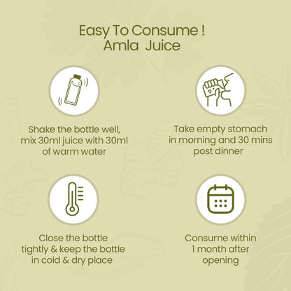 Krishna's Herbal & Ayurveda Premium Amla High Fibre Juice | Natural Immunity Booster | Rich in Vitamin C - 1 l (Pack of 1)
