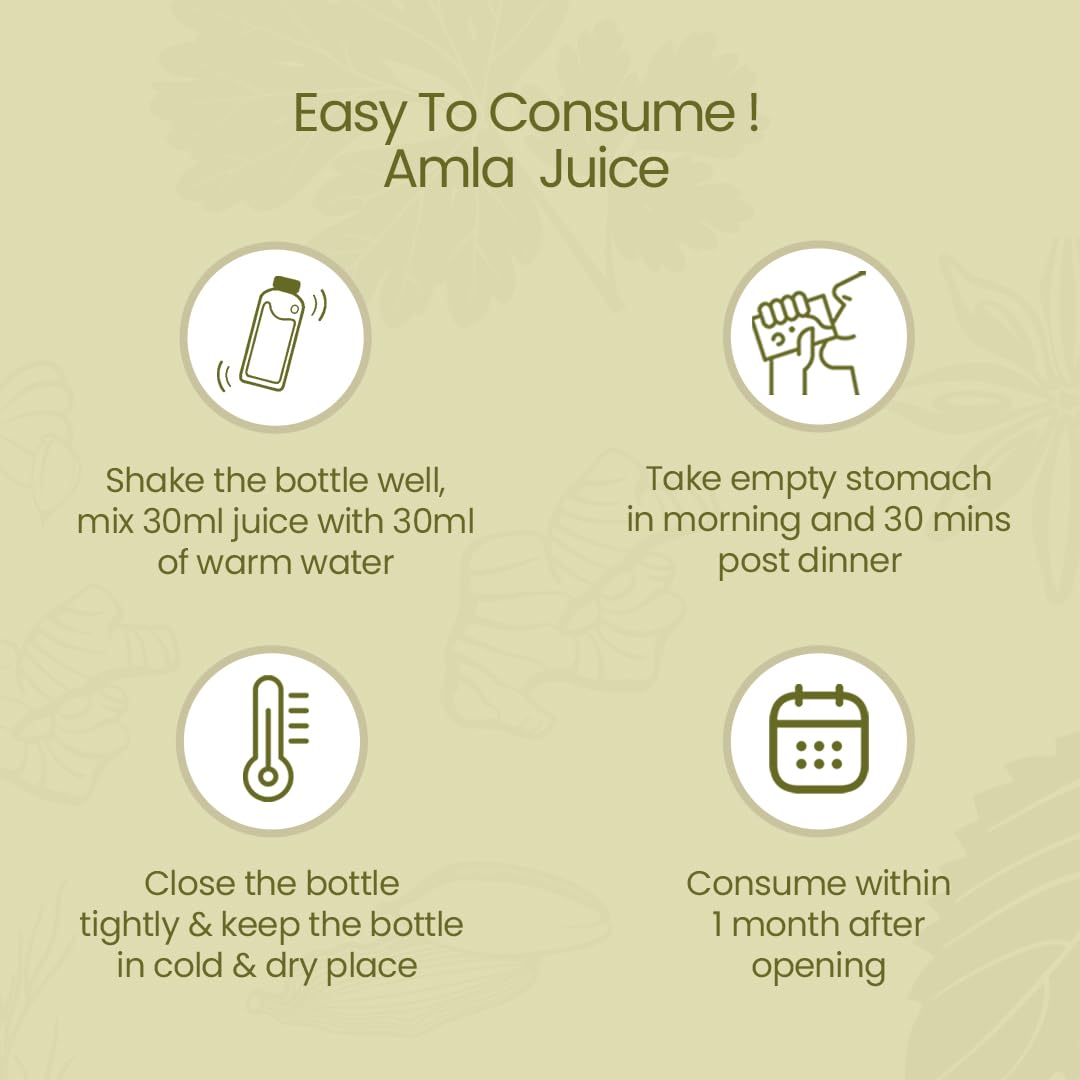 Krishna's Herbal & Ayurveda Premium Amla High Fibre Juice | Natural Immunity Booster | Rich in Vitamin C - 1 l (Pack of 1)