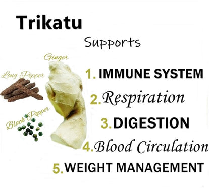 Himalaya Wellness Pure Herbs Trikatu Digestive Wellness - 60 Tablet