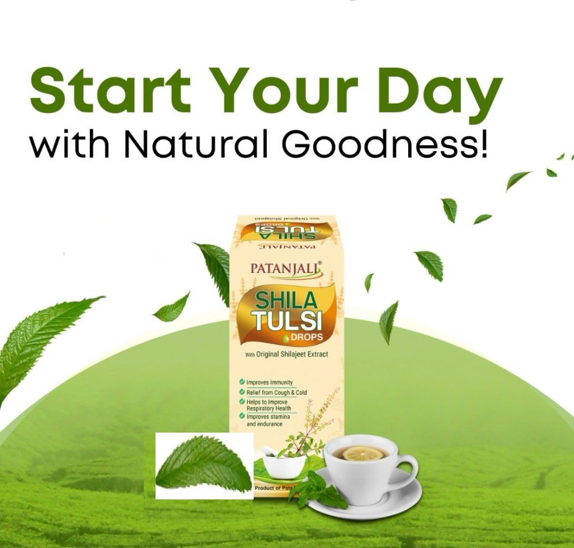 Patanjali Shila Tulsi Drop, Helps boost Stamina, Pure Tulasi Ark, Natural Anti- Viral Drops with Pure Shilajeet/Shilajit Extracts for Cough Relief, Immunity Booster - 30 Ml