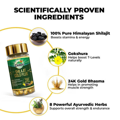 Zandu Shilajit/Shilajeet Gold Plus Capsules IBoosts Stamina, Strength & Energy in 28 Days | 60 Capsules I 100% Pure Himalayan Shilajit with 24K Gold Bhasma
