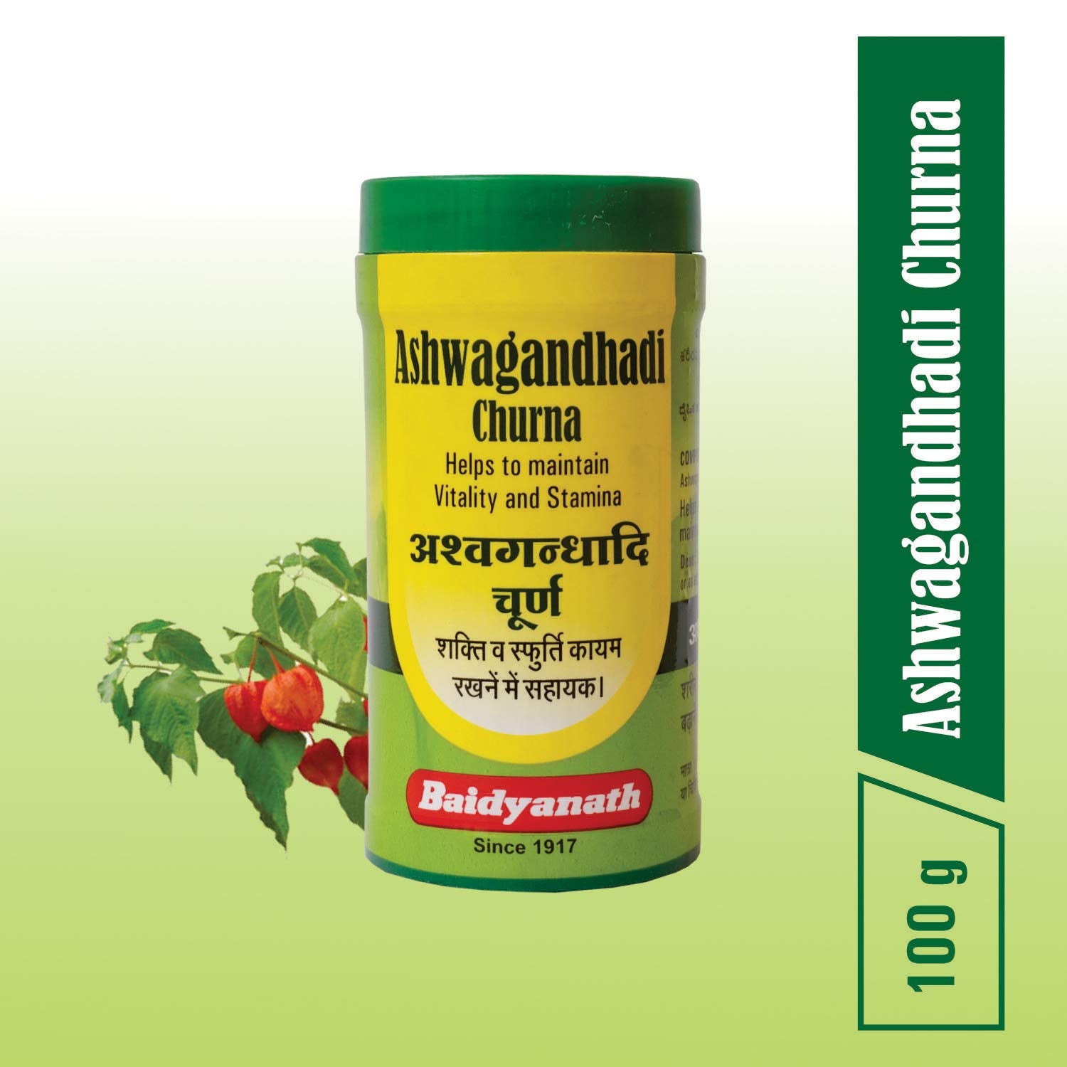 Baidyanath Ashwagandhadi Churna I Enhances Stamina I Ashwagandha for Stress Relief, 100 g (Pack of 2)