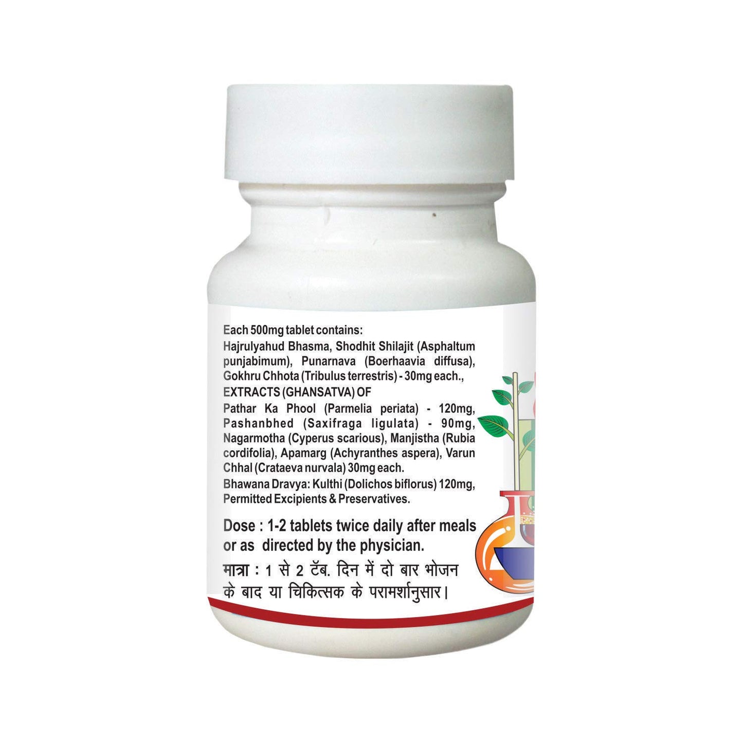 Baidyanath Asli Ayurved Pathrina - 50 Tablets (Pack of 2) | Ayurvedic Herbal Blend for Urinary Wellness & Support