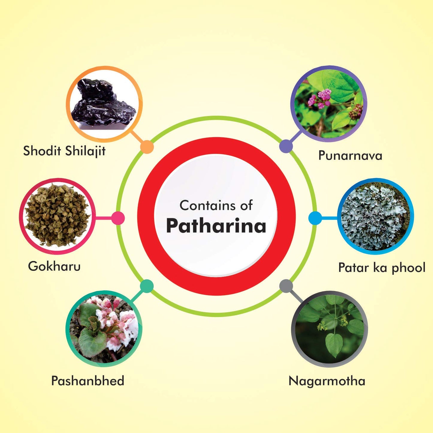 Baidyanath Asli Ayurved Pathrina - 50 Tablets (Pack of 2) | Ayurvedic Herbal Blend for Urinary Wellness & Support