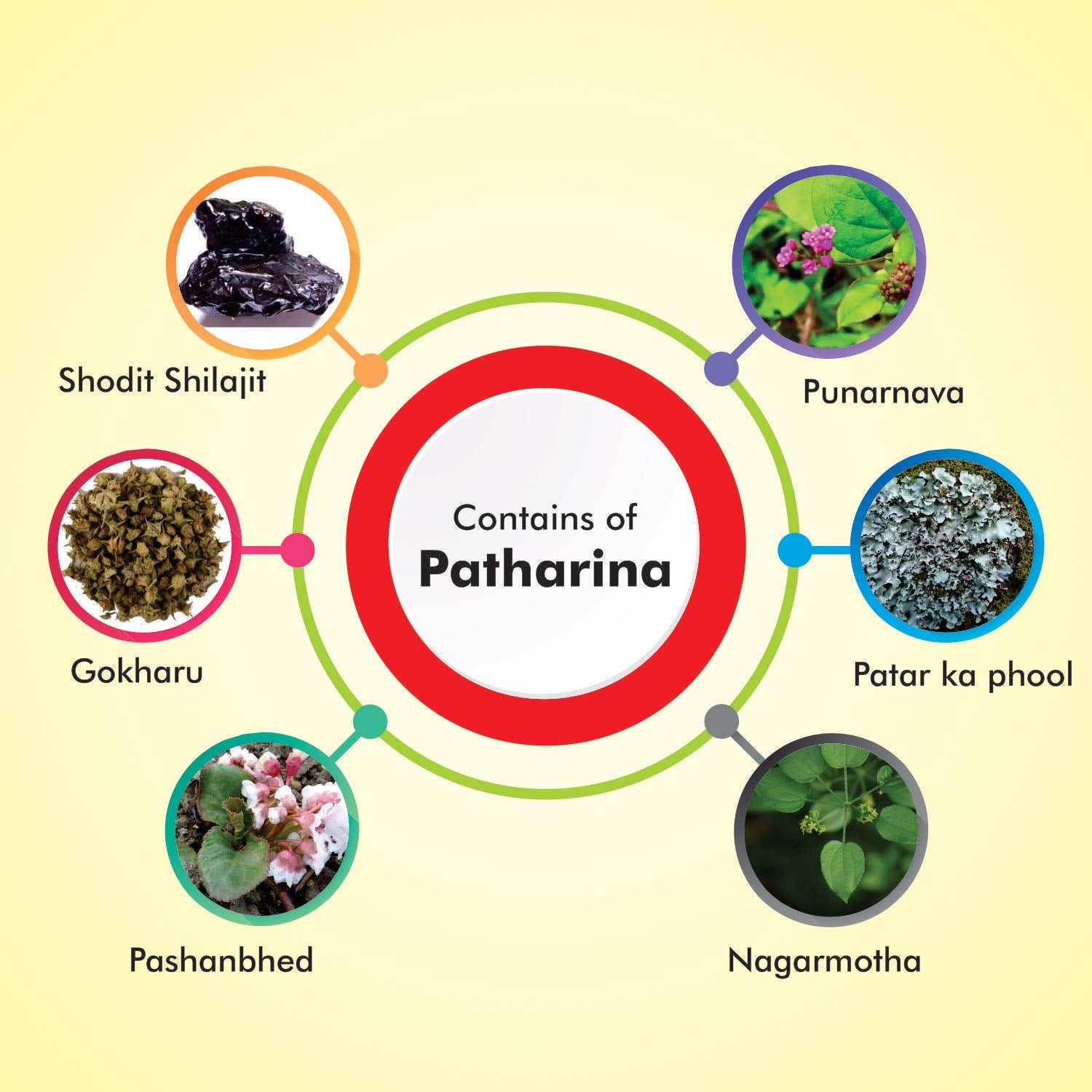 Baidyanath Asli Ayurved Pathrina - 50 Tablets (Pack of 2) | Ayurvedic Herbal Blend for Urinary Wellness & Support