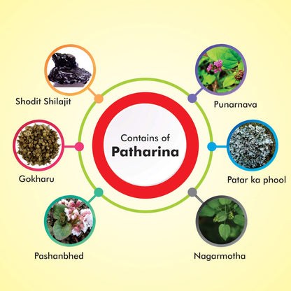 Baidyanath Asli Ayurved Pathrina - 50 Tablets (Pack of 2) | Ayurvedic Herbal Blend for Urinary Wellness & Support