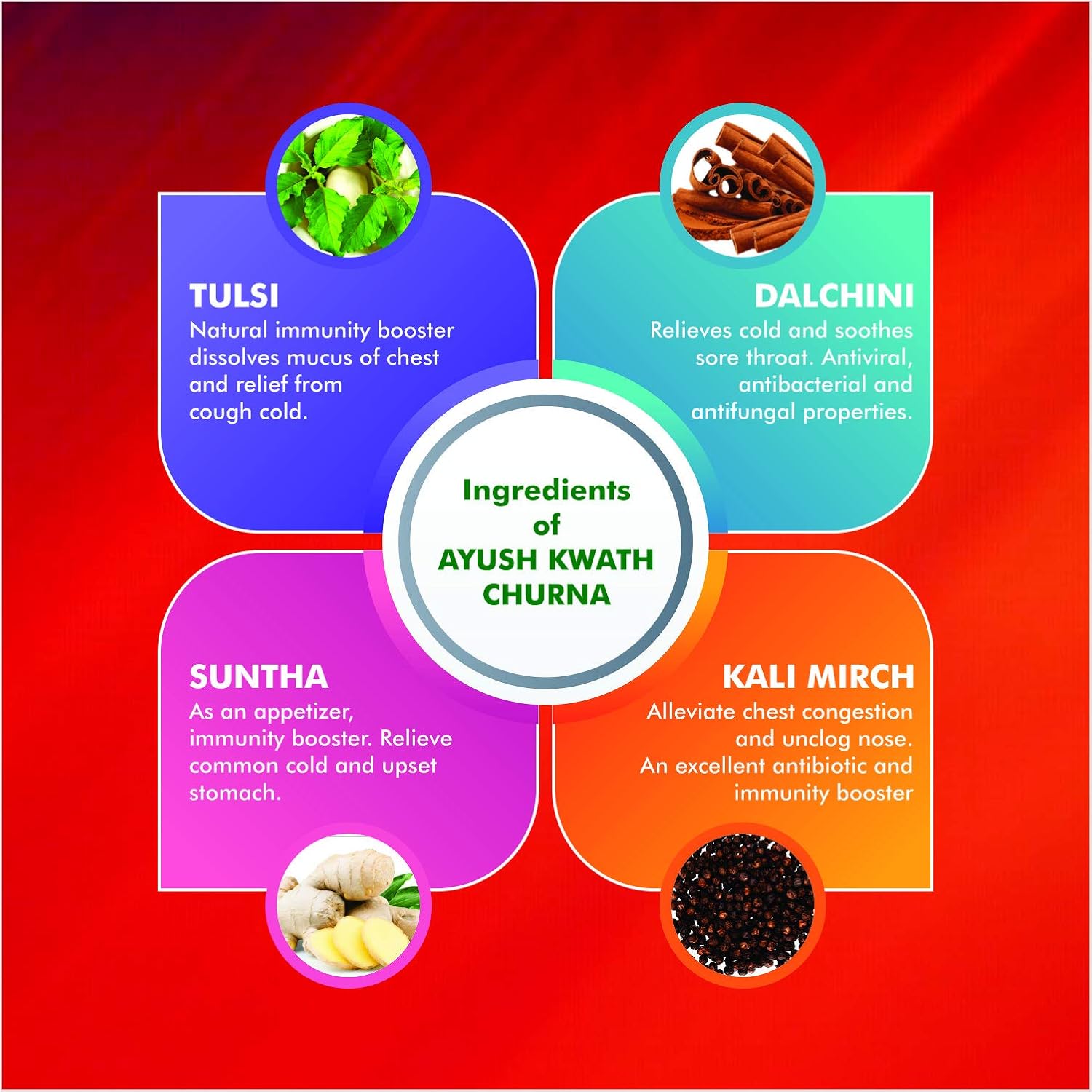 Baidyanath Ayush kwath Churna I Immunity Booster I Ayurvedic Respiratory I 100 gm (Pack of 2)