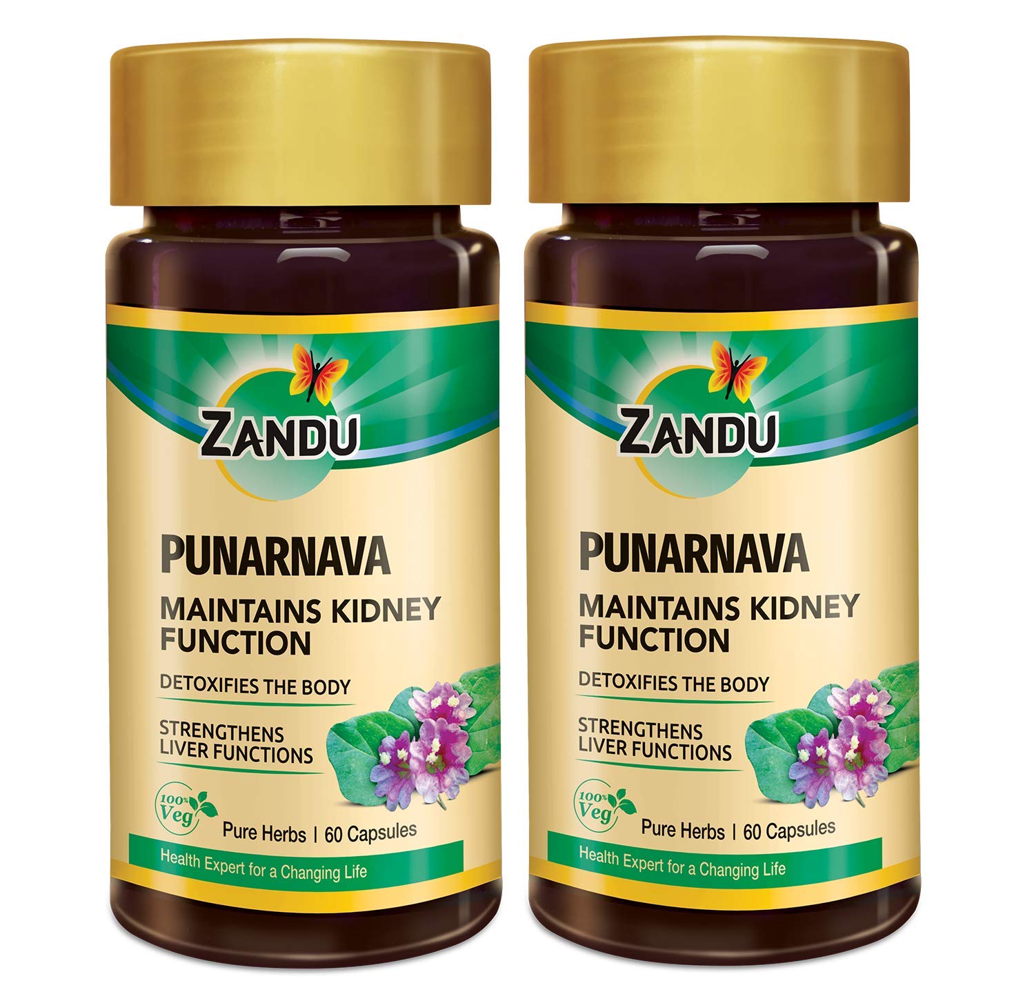 Zandu Punarnava Capsules, With Goodness of Natural Punarnava Extract known for Good Gut Health & for Healthy Appetite, Helps for Heart and Urinary Health - 60 Veg capsules