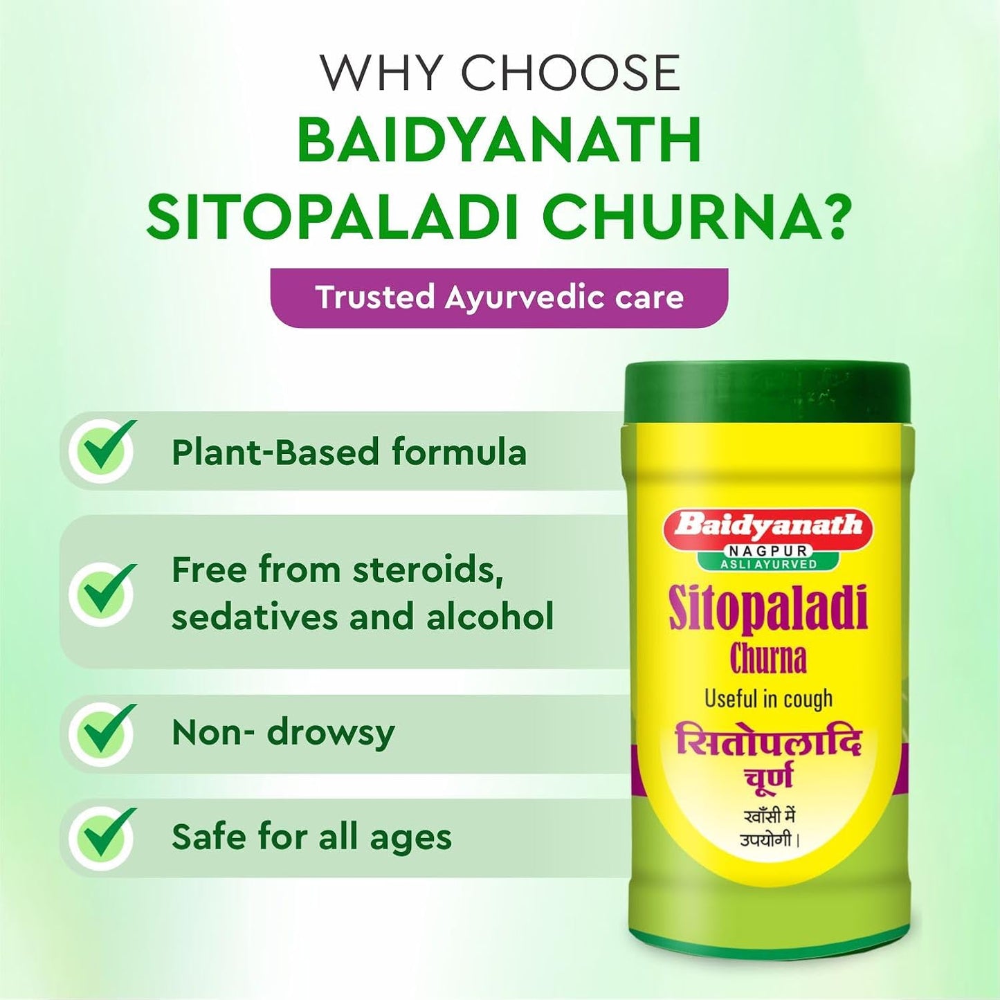 Baidyanath Sitopaladi Churna - 60 Gm