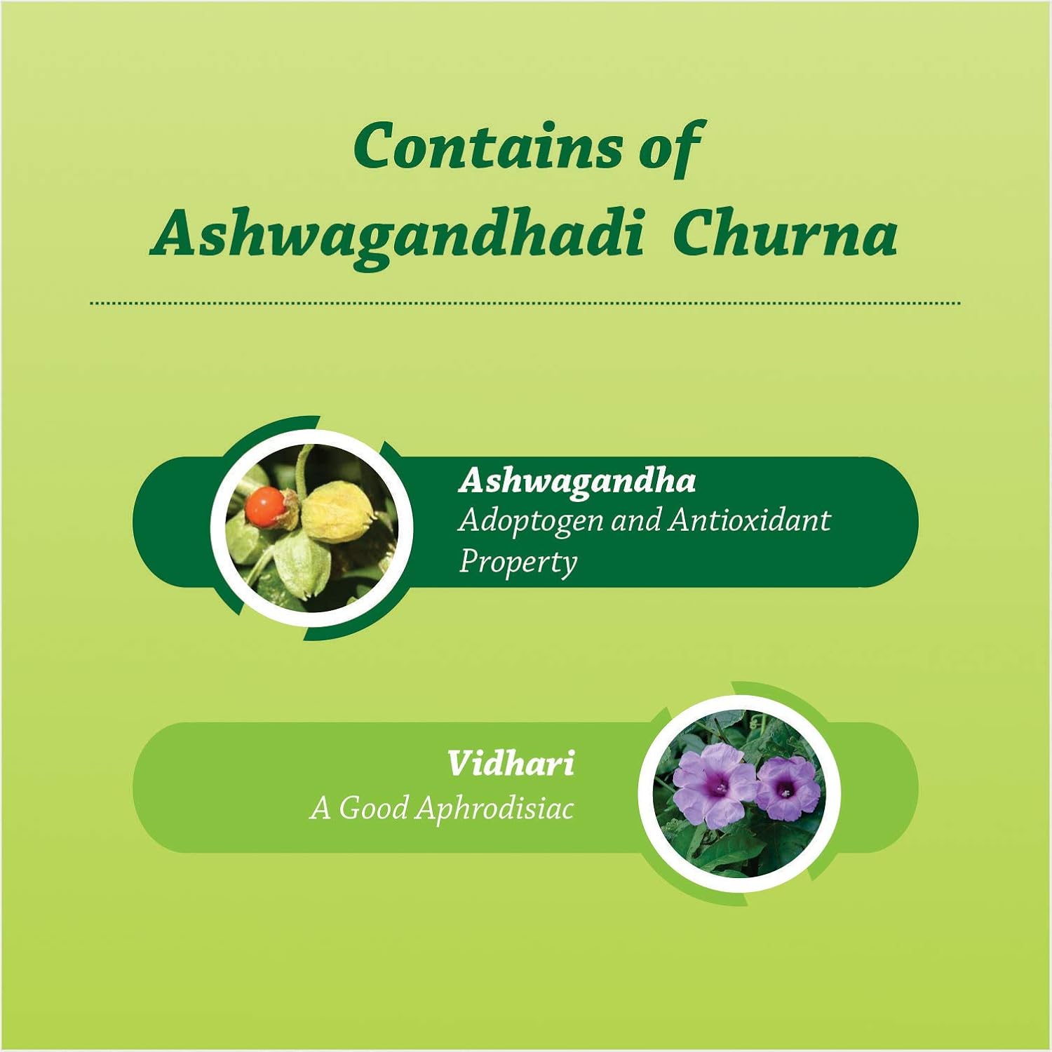 Baidyanath Ashwagandhadi Churna I Enhances Stamina I Ashwagandha for Stress Relief, 100 g (Pack of 2)