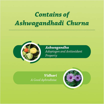 Baidyanath Ashwagandhadi Churna I Enhances Stamina I Ashwagandha for Stress Relief, 100 g (Pack of 2)