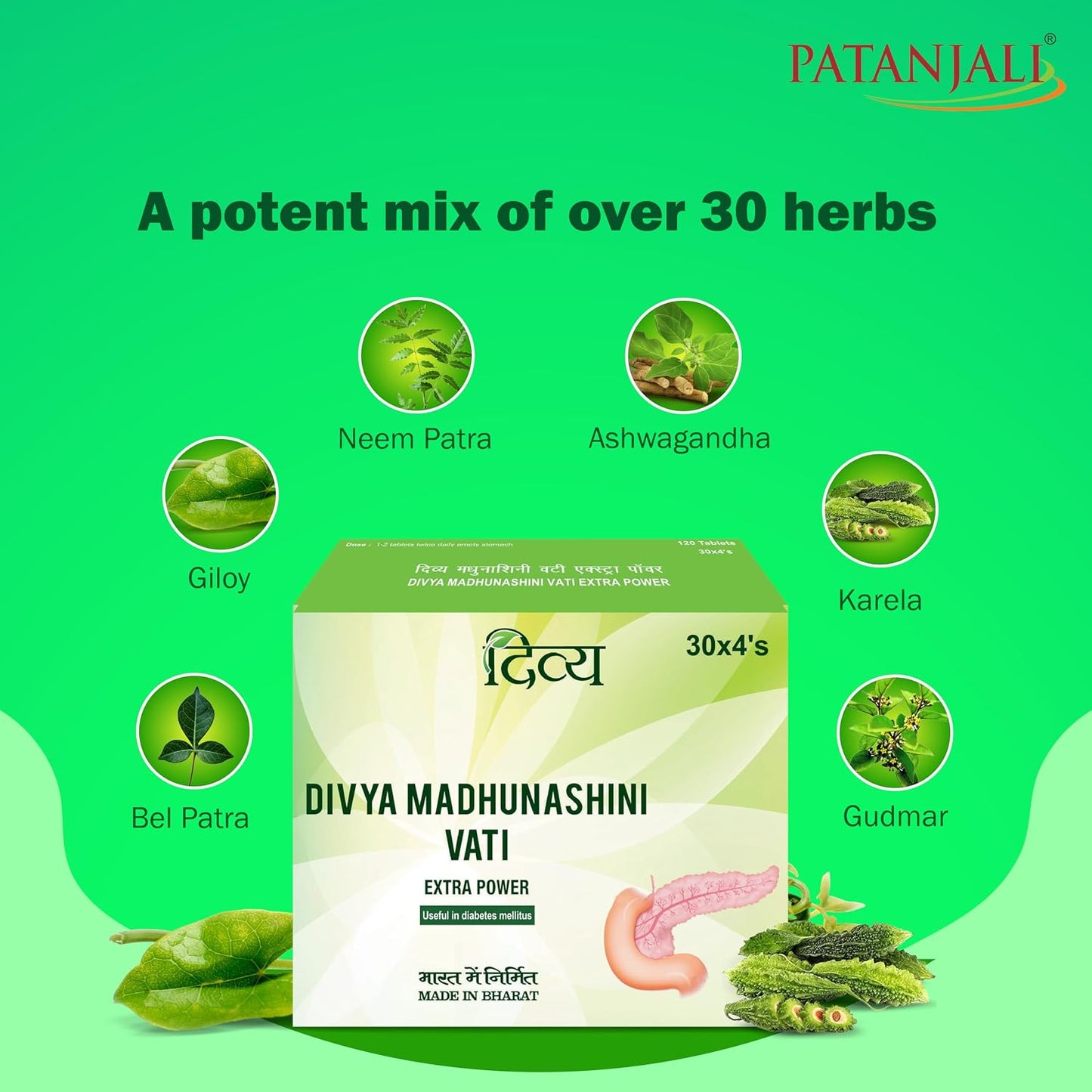 Divya Madhunashni Vati Extra Power - 60 g (120 Tablets)