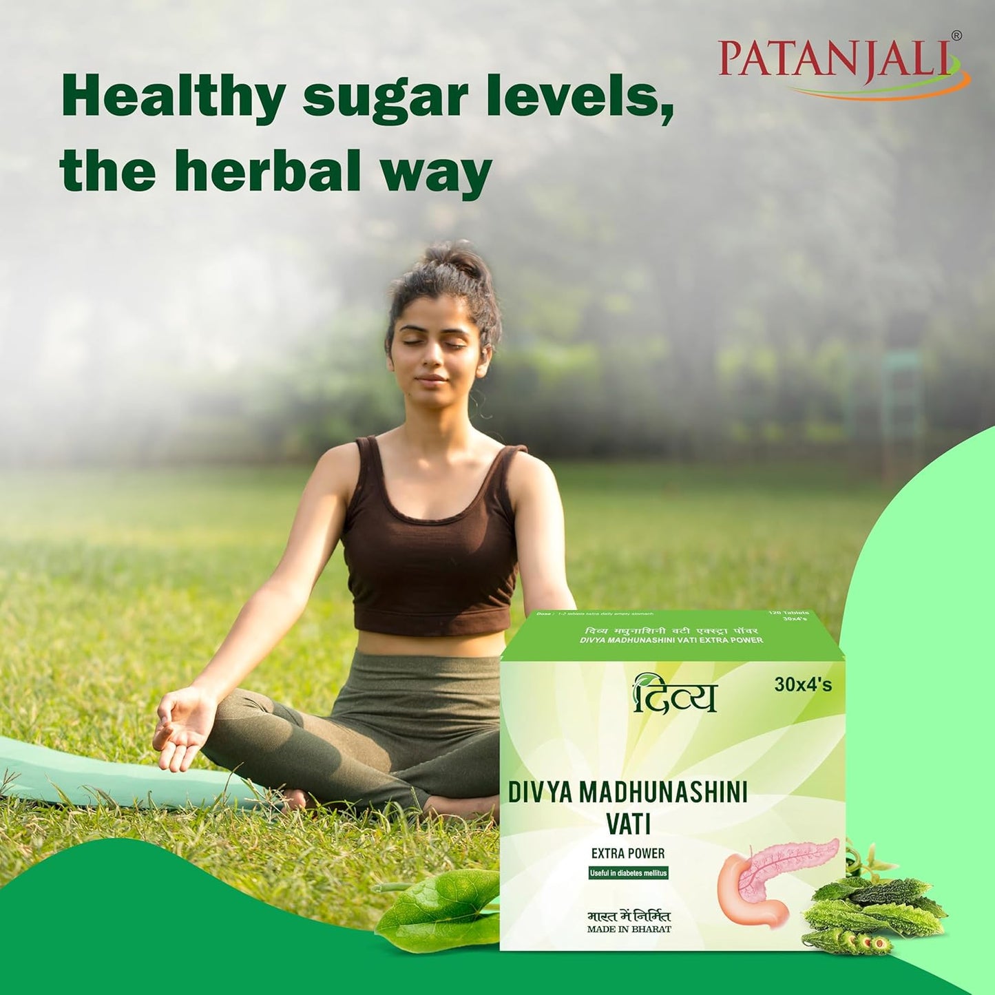 Divya Madhunashni Vati Extra Power - 60 g (120 Tablets)