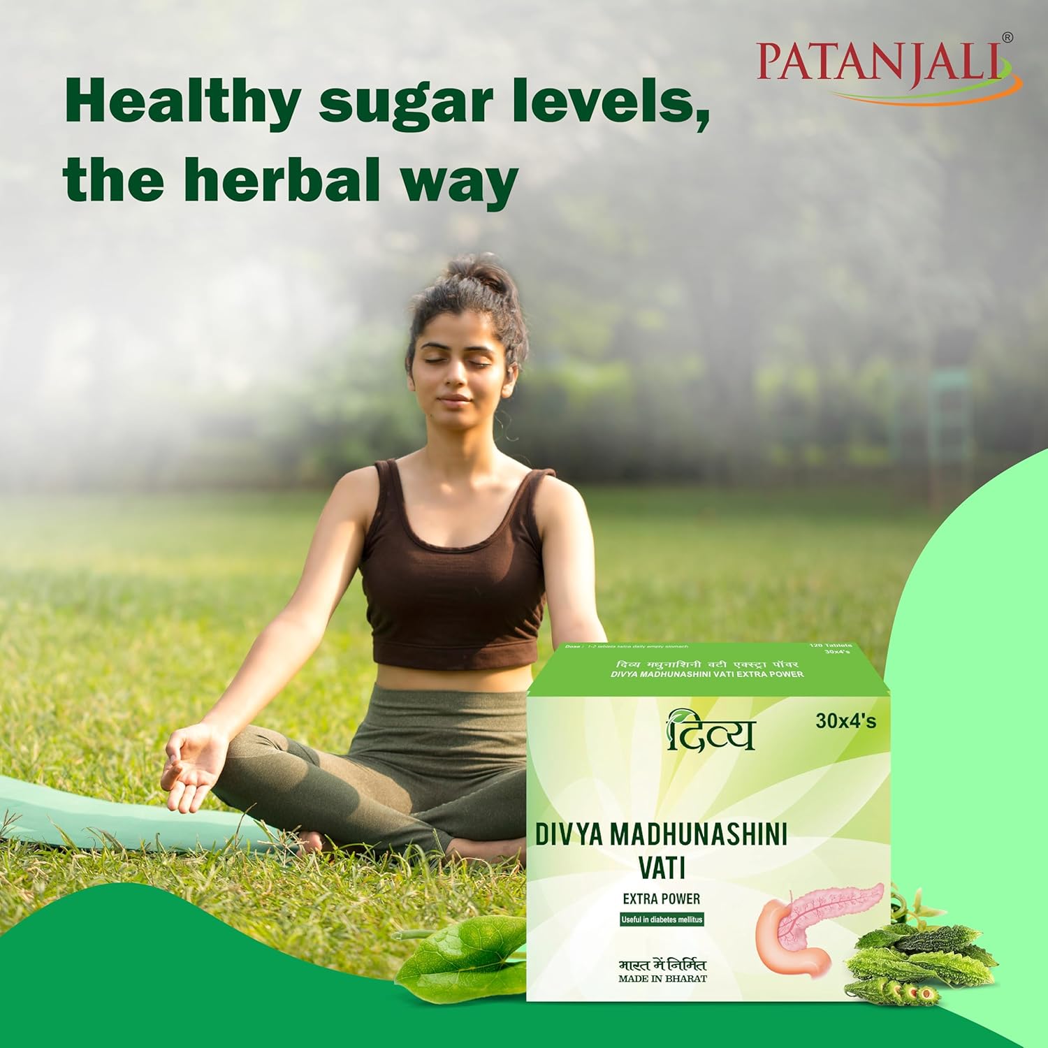 Divya Madhunashni Vati Extra Power - 60 g (120 Tablets)
